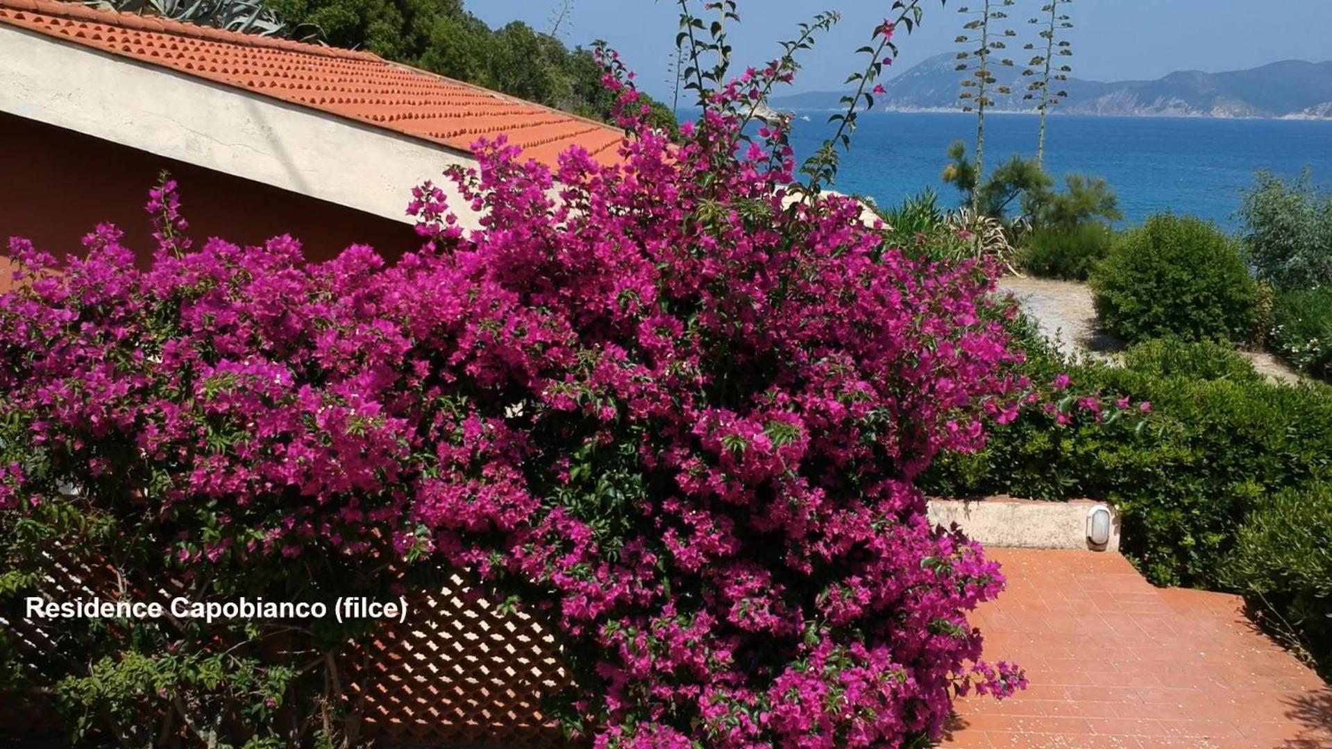 Residence Capobianco 포르토페라이오 외부 사진